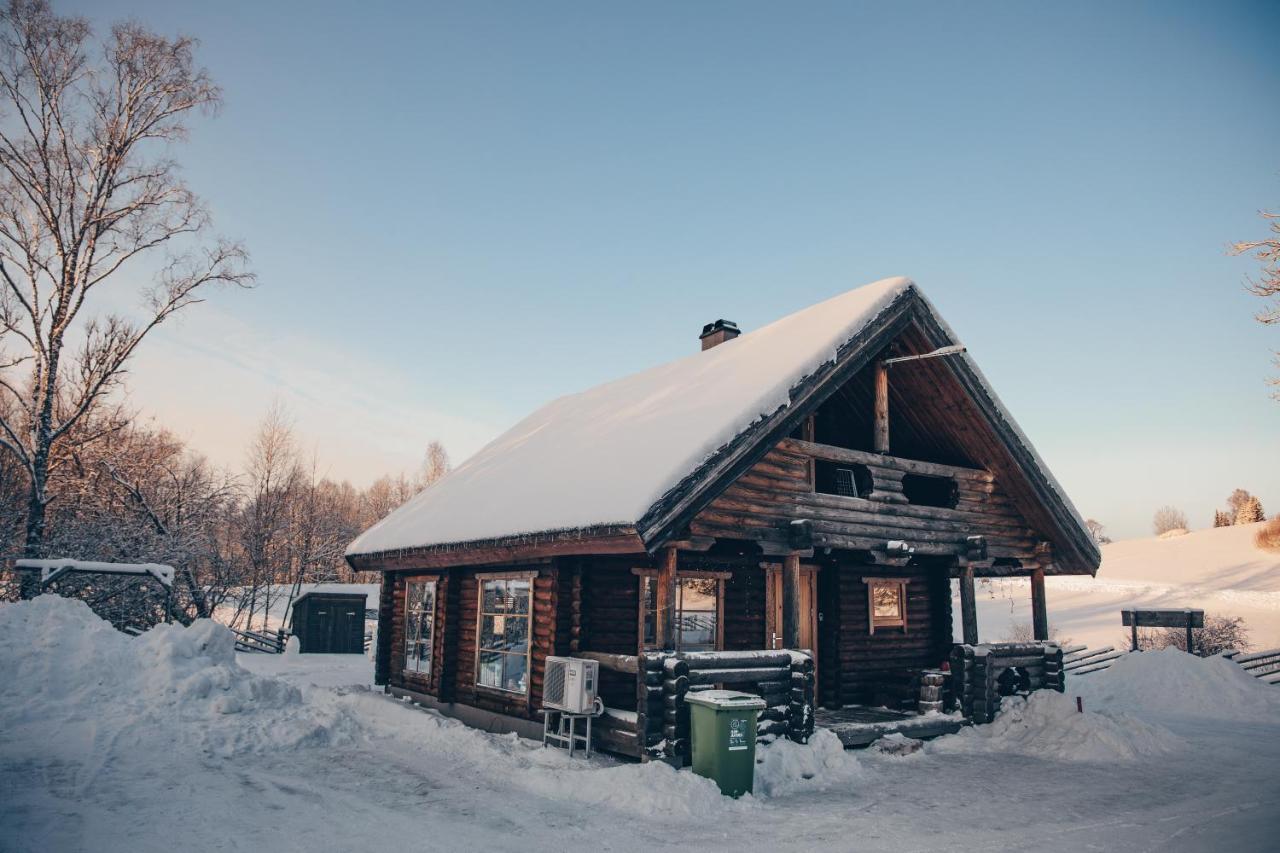 Otepää Nuustakumajadヴィラ エクステリア 写真